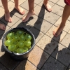 Sommerferien 2018